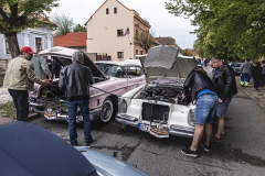 088-7-castles-trial-2019-ok