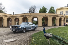 230-7-castles-trial-2019-ok