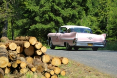 carlsbad-classic-2013-fotogalerie_050